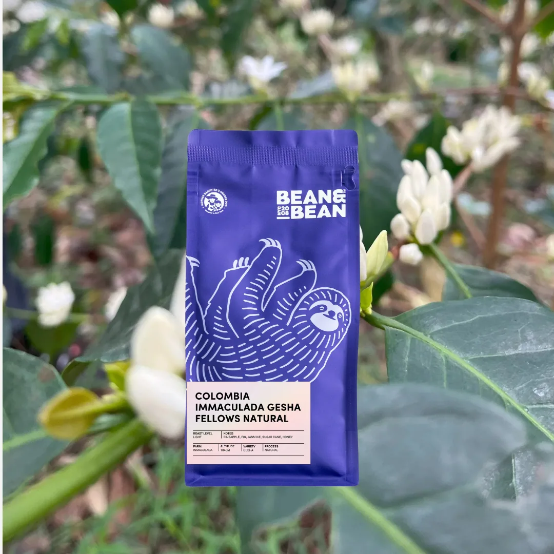colombia immaculada gesha natural, colombia coffee from bean & bean queens — roastery & cafe