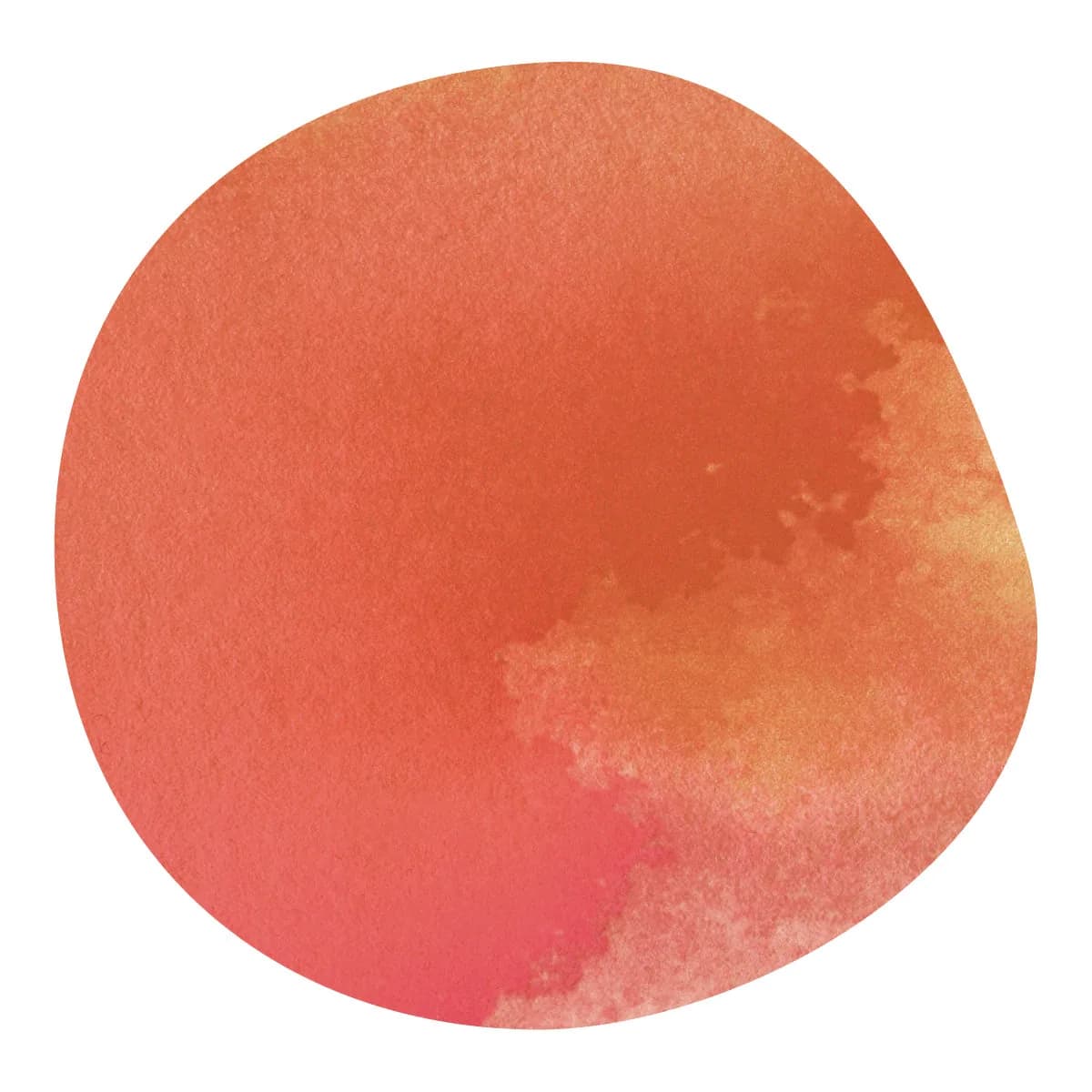 【販売終了】emerson vasquez -pacamara- / el salvador, el salvador coffee from aoma coffee