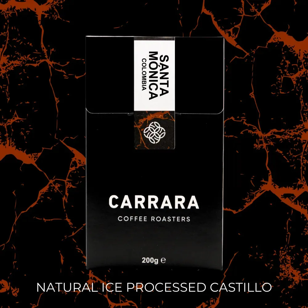 santa mónica, colombia - natural ice castillo, colombia coffee from carrara coffee roasters
