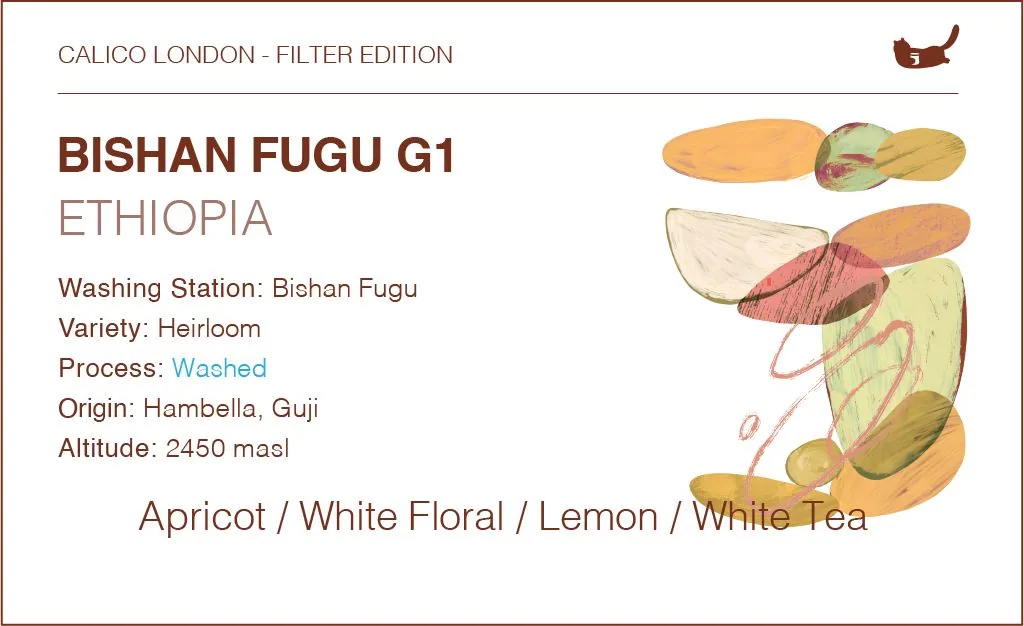 ethiopia bishan fugu heirloom g1 - washed, ethiopia coffee from calico coffee