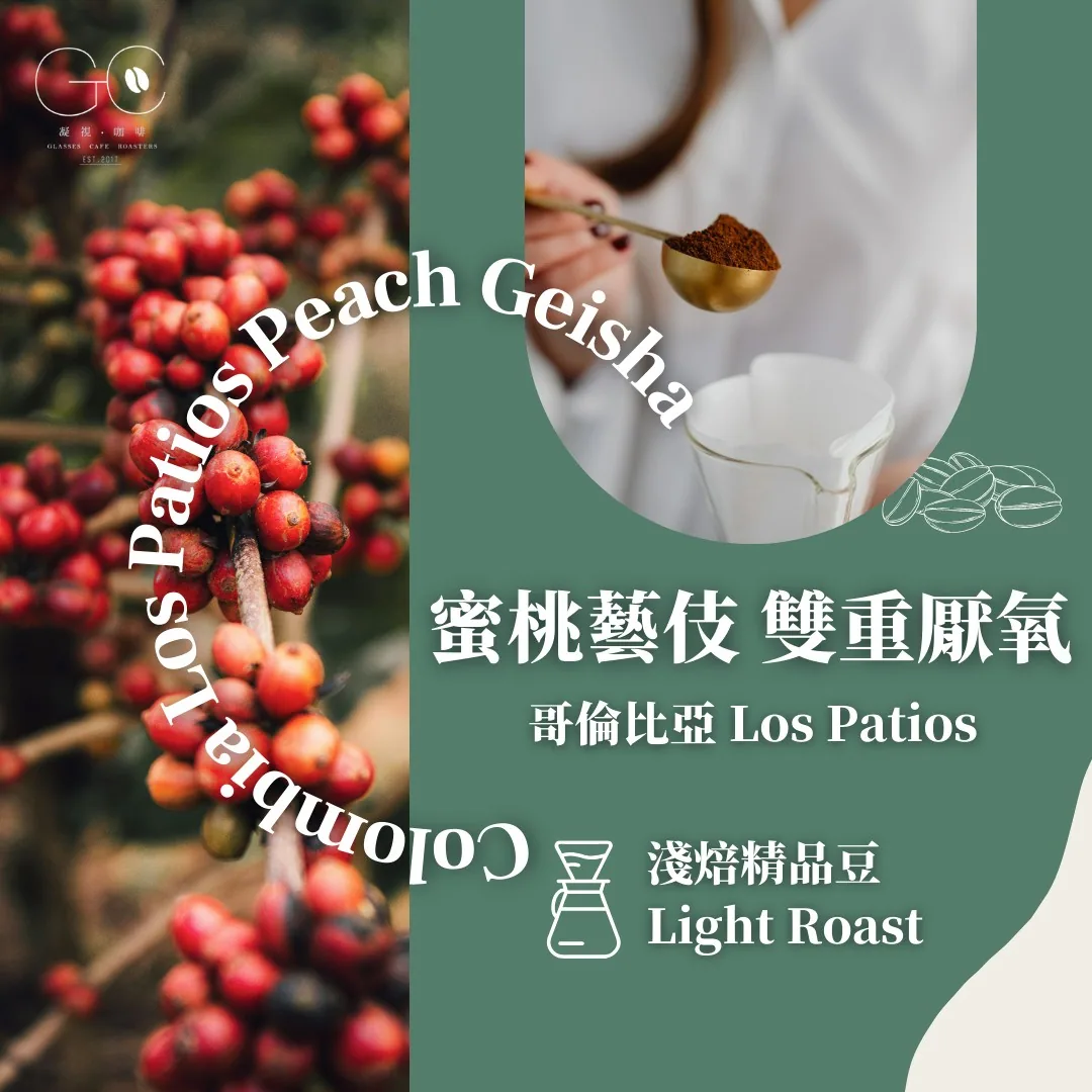 淺焙|哥倫比亞 薇拉省 los patios 蜜桃藝伎 水蜜桃蜜處理 colombia huila los patios geisha honey, colombia coffee from gazecafe