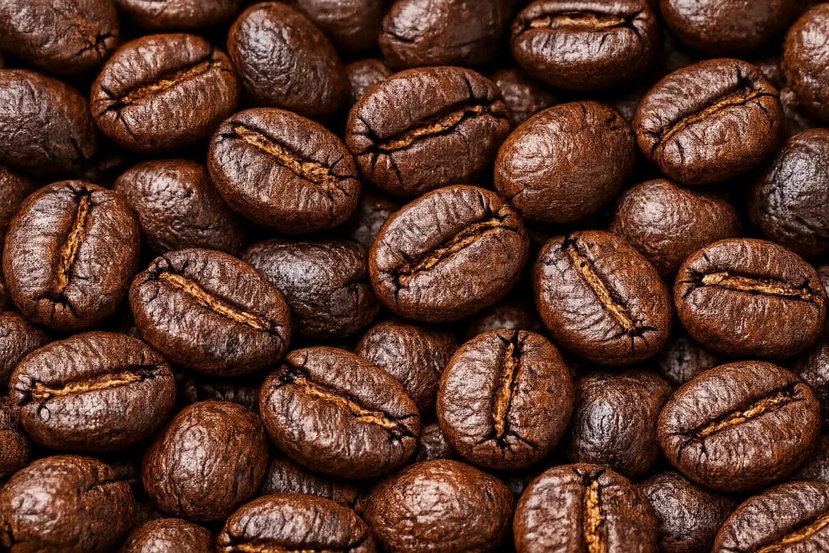 blue batak roasted coffee beans, indonesia + sumatra coffee from pt. indonesia specialty coffee
