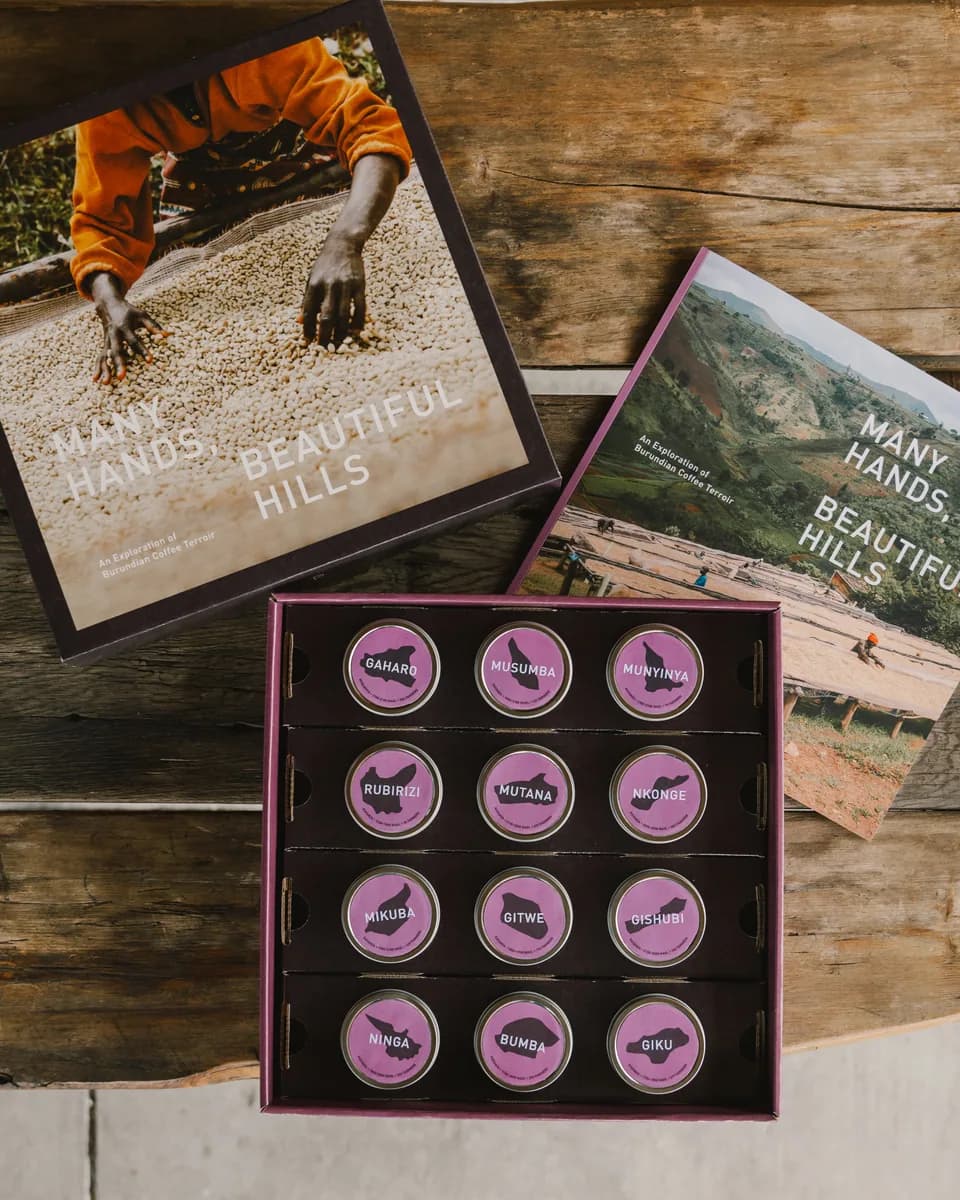 many hands, beautiful hills — burundi tasting with passenger coffee, august 17th 2024, burundi coffee from subtext coffee roasters
