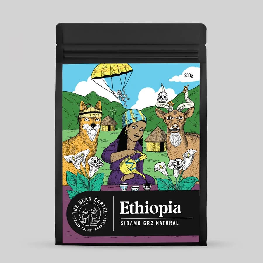 ethiopia sidamo gr2 natural single origin, ethiopia coffee from the bean cartel coffee roasters