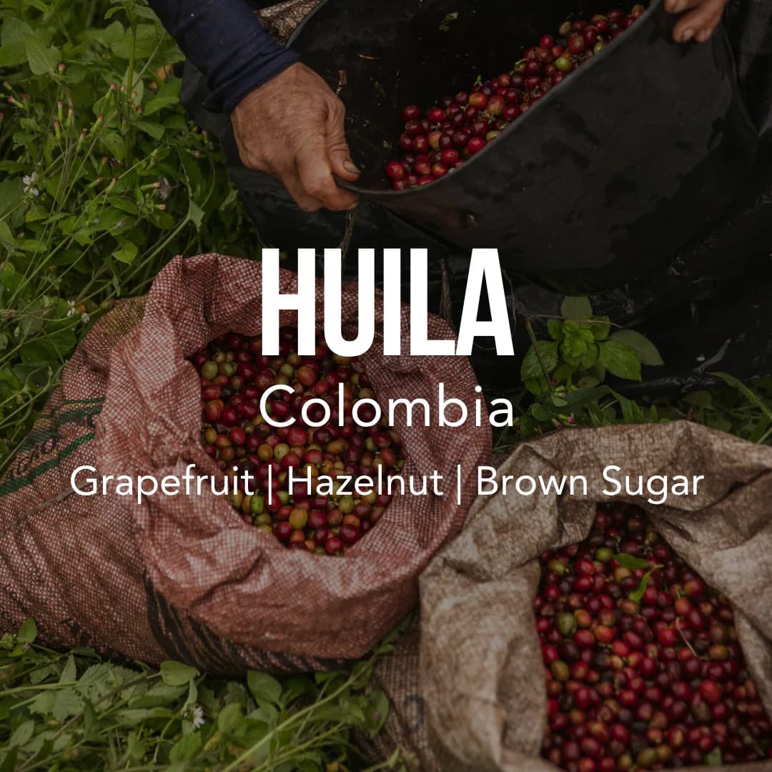 colombia huila excelso, colombia coffee from excelso coffee