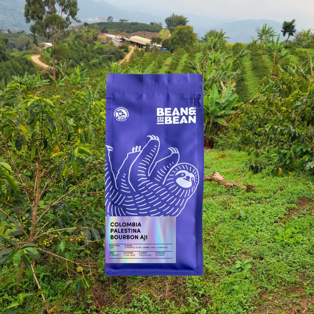 colombia palestina bourbon aji, colombia coffee from bean & bean queens — roastery & cafe