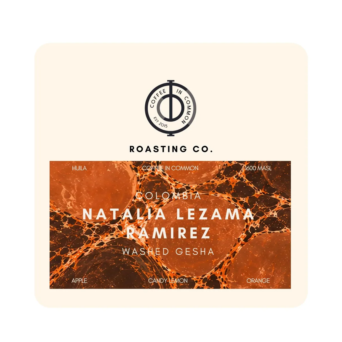 natalia lezama ramirez- (colombia - gesha washed), colombia coffee from coffee in common