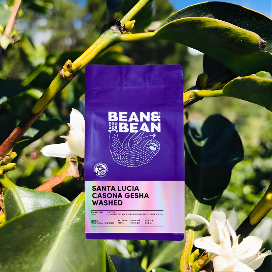 honduras santa lucia casona gesha washed, honduras coffee from bean & bean queens — roastery & cafe