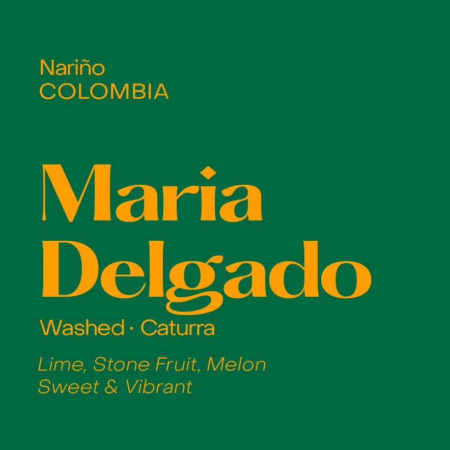 colombia maria delgado, washed caturra, colombia coffee from subtext coffee roasters