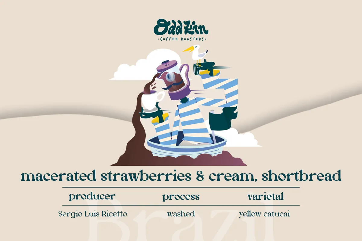sergio luis ricetto, brazil, brazil coffee from oddkin coffee roasters