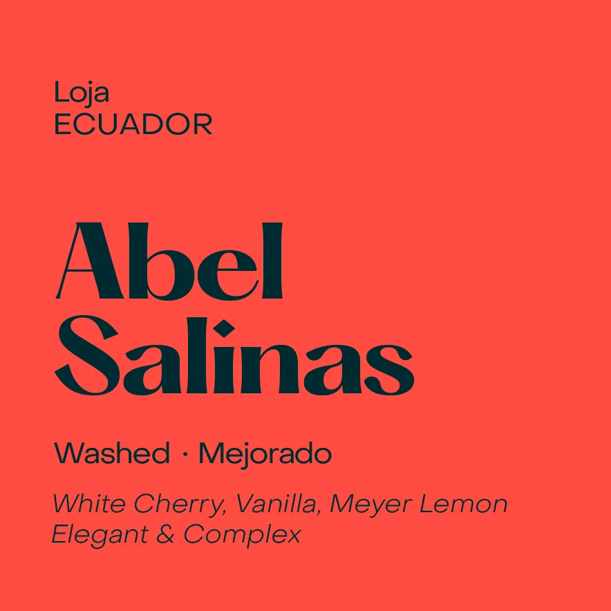 ecuador abel salinas, washed mejorado (may 1st, 2026), ecuador coffee from subtext coffee roasters