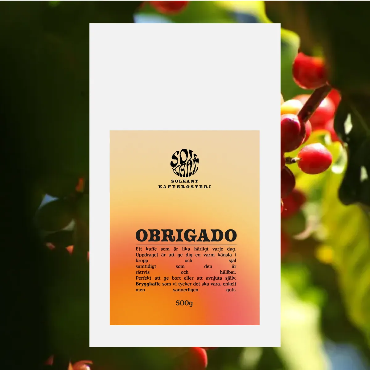 obrigado, brazil coffee from solkant café & roastery