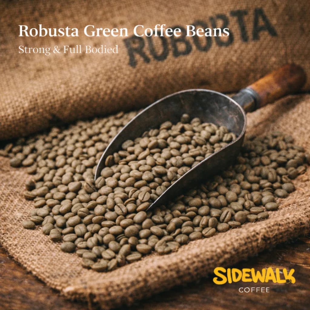 green coffee beans - vietnam robusta 18 screen, vietnam coffee from sidewalk coffee company