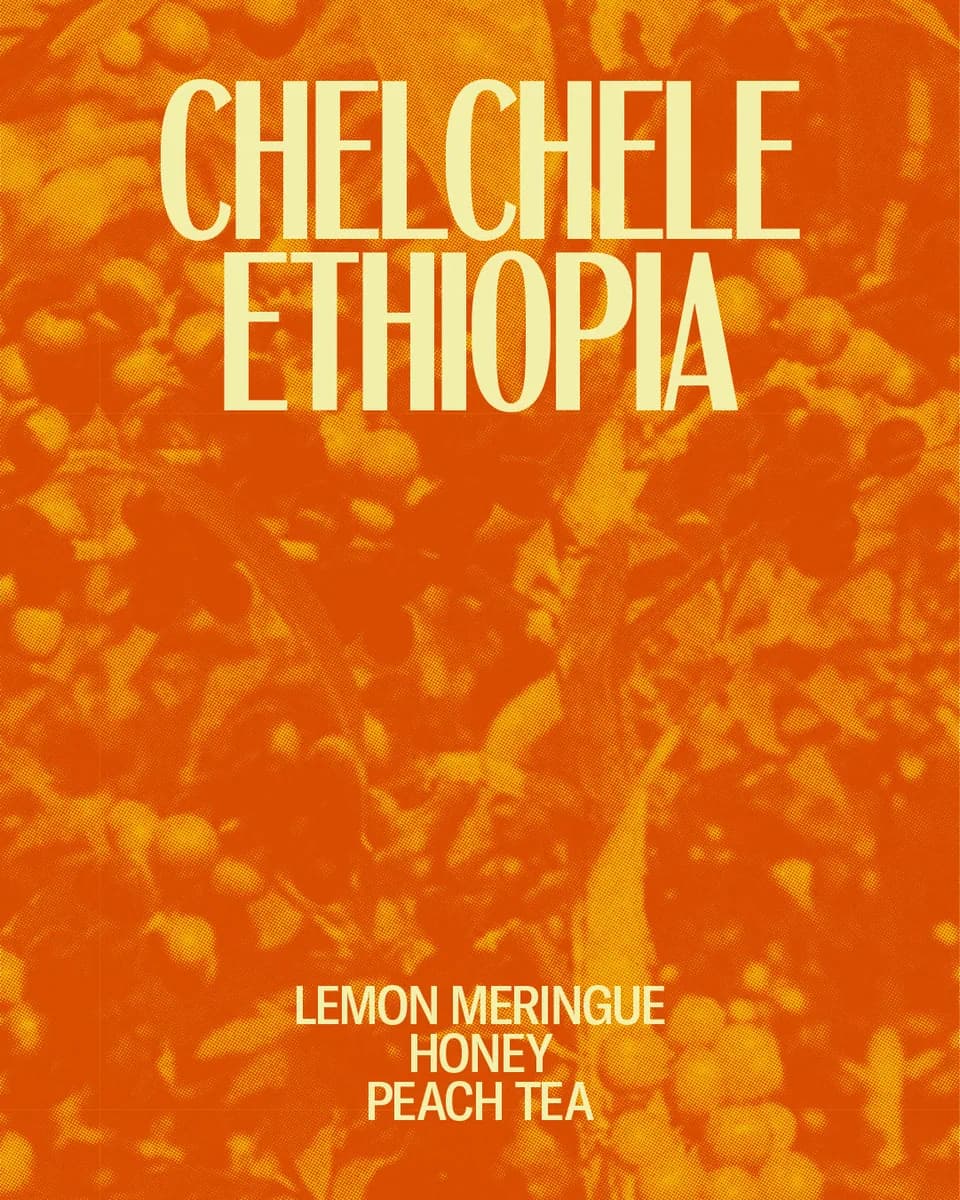 chelchele, ethiopia coffee from red bank coffee roasters