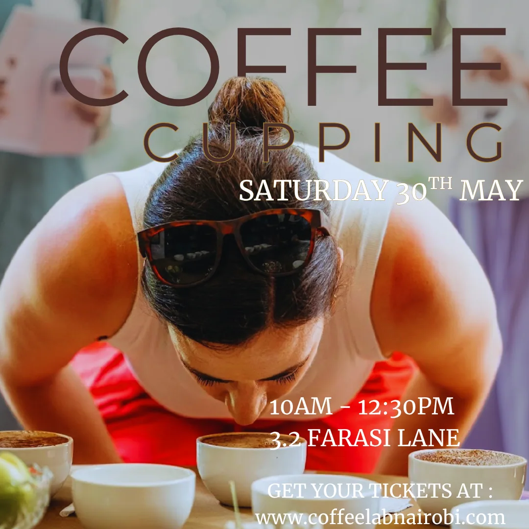 coffee tasting - triangulation and new coffees!, kenya coffee from coffee lab nairobi