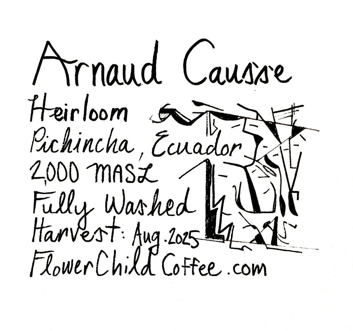 arnaud causse - heirloom, kenya + colombia + peru + costa rica + el salvador + ecuador coffee from flower child