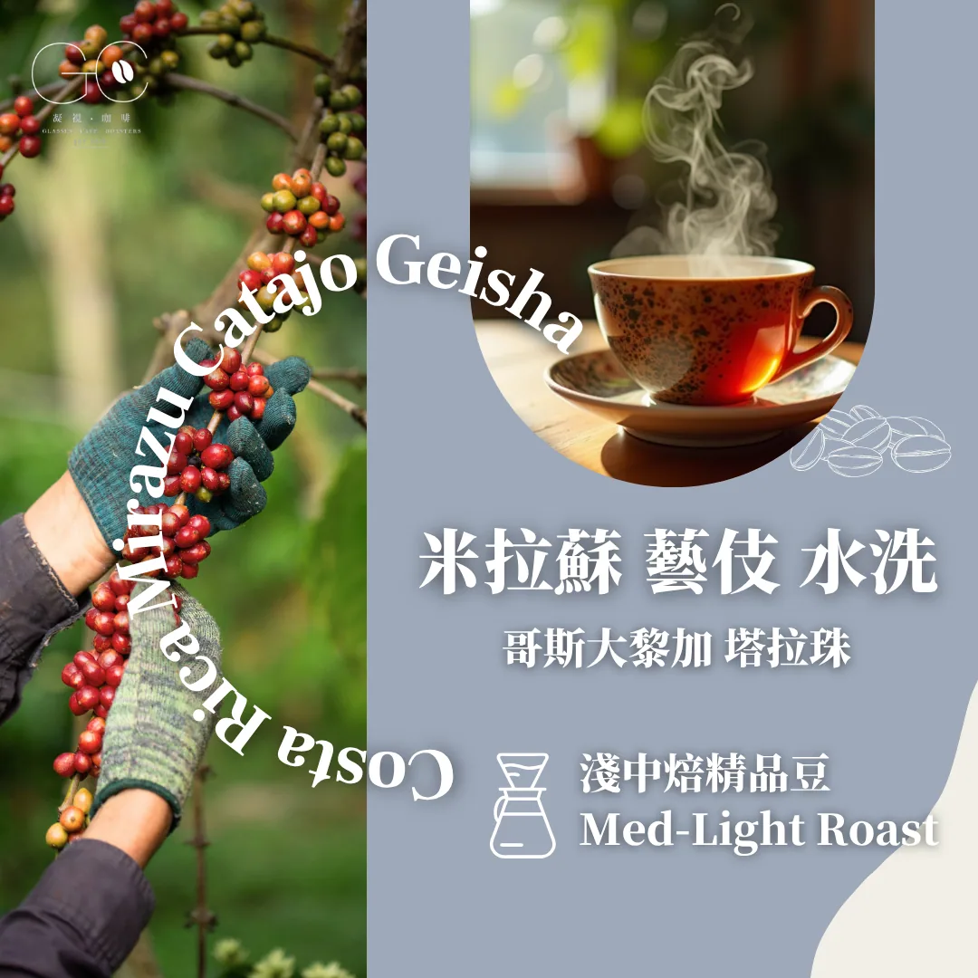 淺中焙|哥斯大黎加 米拉蘇莊園 catajo 藝伎 酵素水洗 costa rica mirazu d’cafetal catajo geisha yeast washed, costa rica coffee from gazecafe