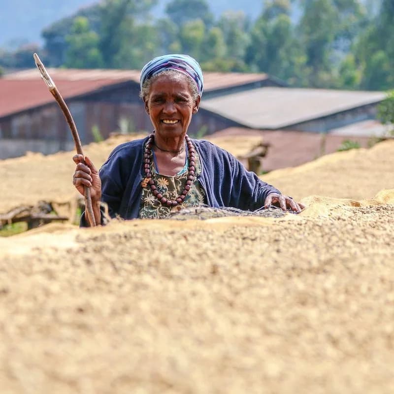 äthiopien | banko gotiti, ethiopia coffee from cabana coffee roasters