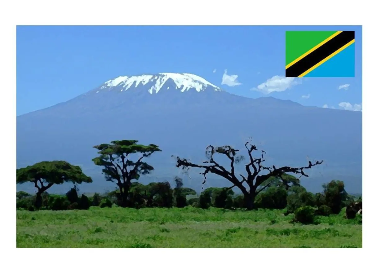 【tanzania】タンザニア キリマンジャロ セレンゲティ 100g~, tanzania coffee from セイコードー・コーヒー