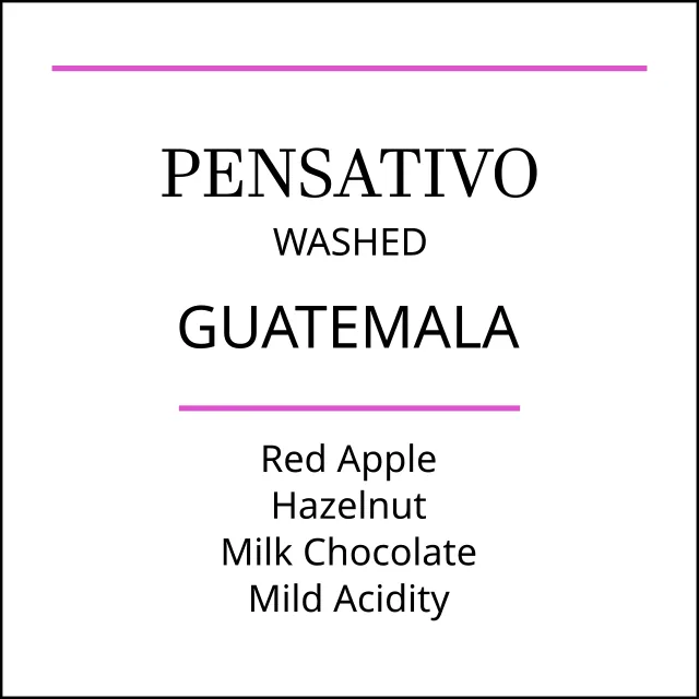 guatemala el pensativo medium roast, guatemala coffee from pebble and pine coffee