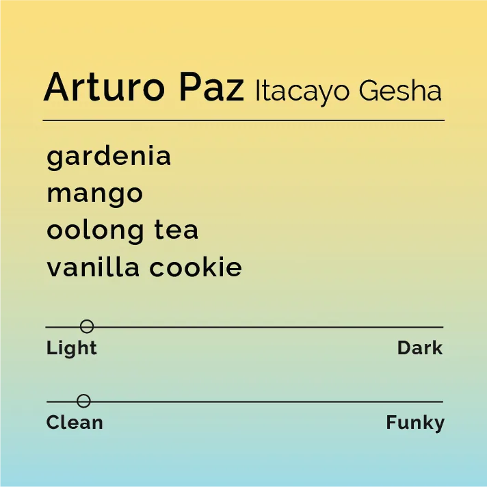 arturo paz - itacayo gesha, honduras coffee from black & white coffee roasters