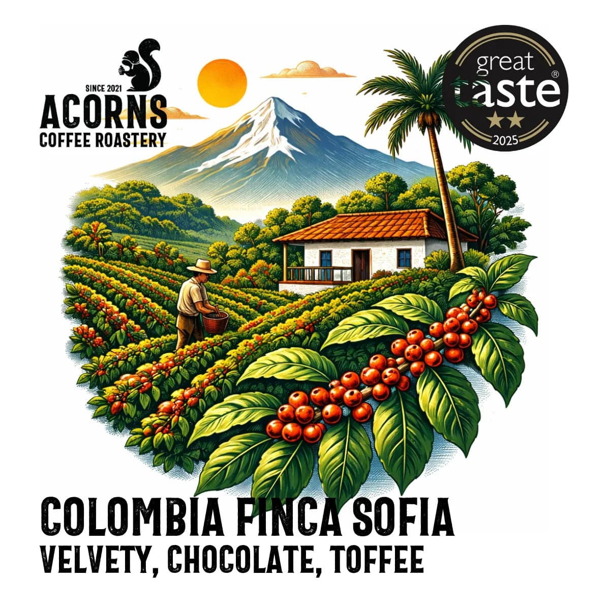colombia finca sofia, colombia coffee from acorns coffee and cake