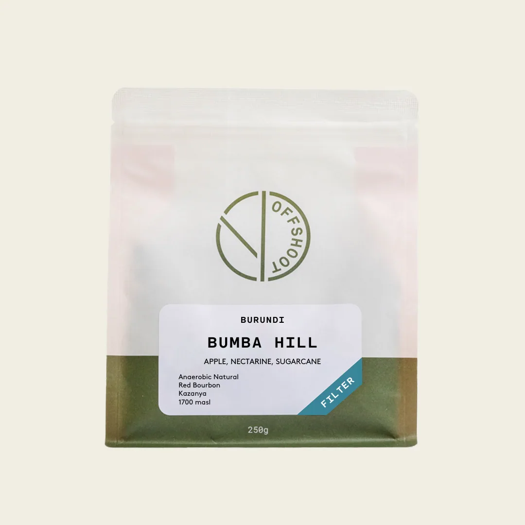 bumba hill, kenya + burundi coffee from offshoot coffee