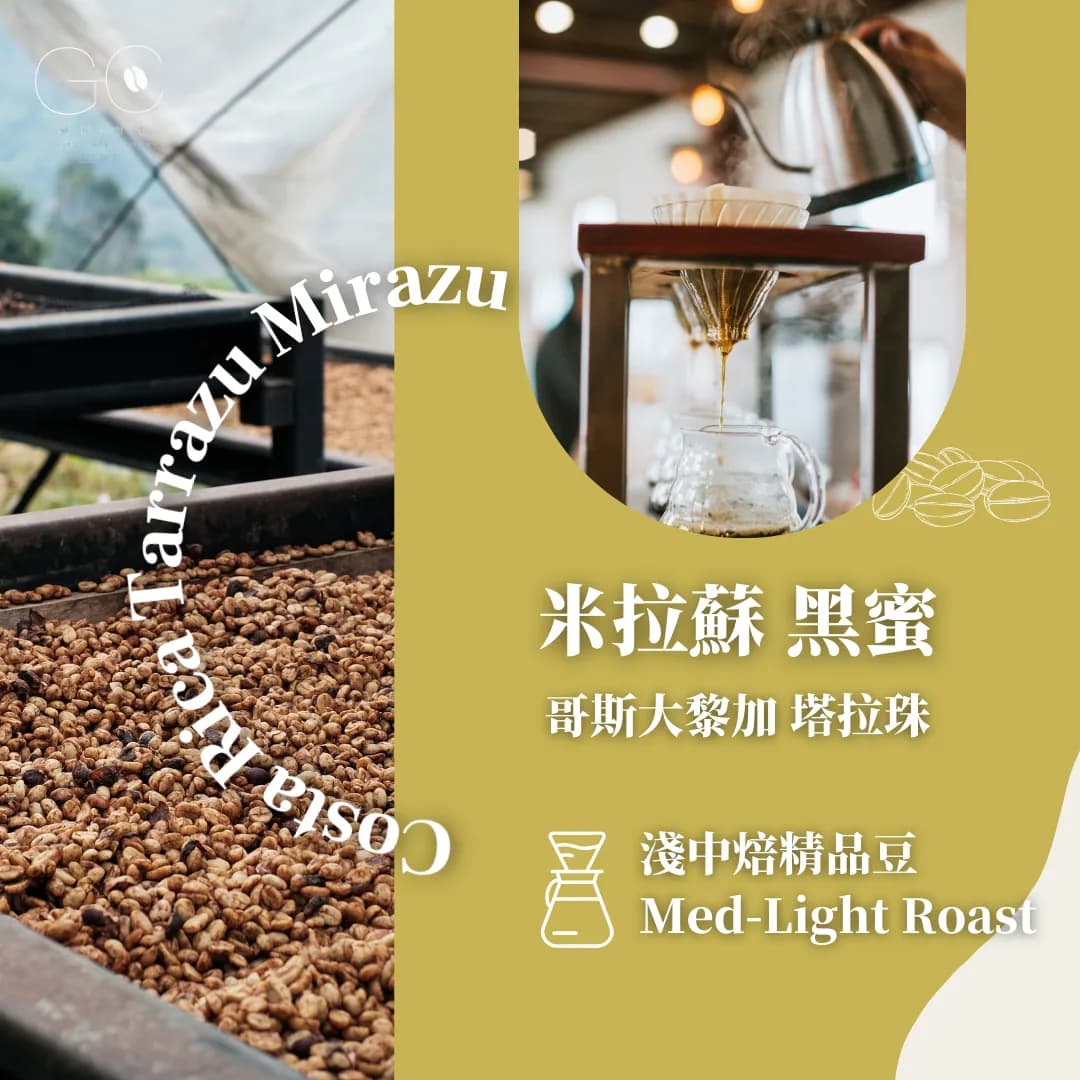 淺中焙|哥斯大黎加 米拉蘇 黑蜜 costa rica tarrazu mirazu, costa rica coffee from gazecafe