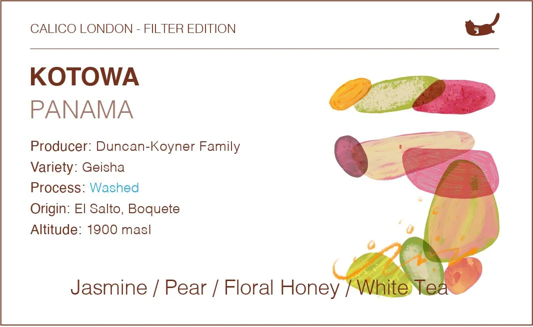 panama kotowa geisha - washed, panama coffee from calico coffee