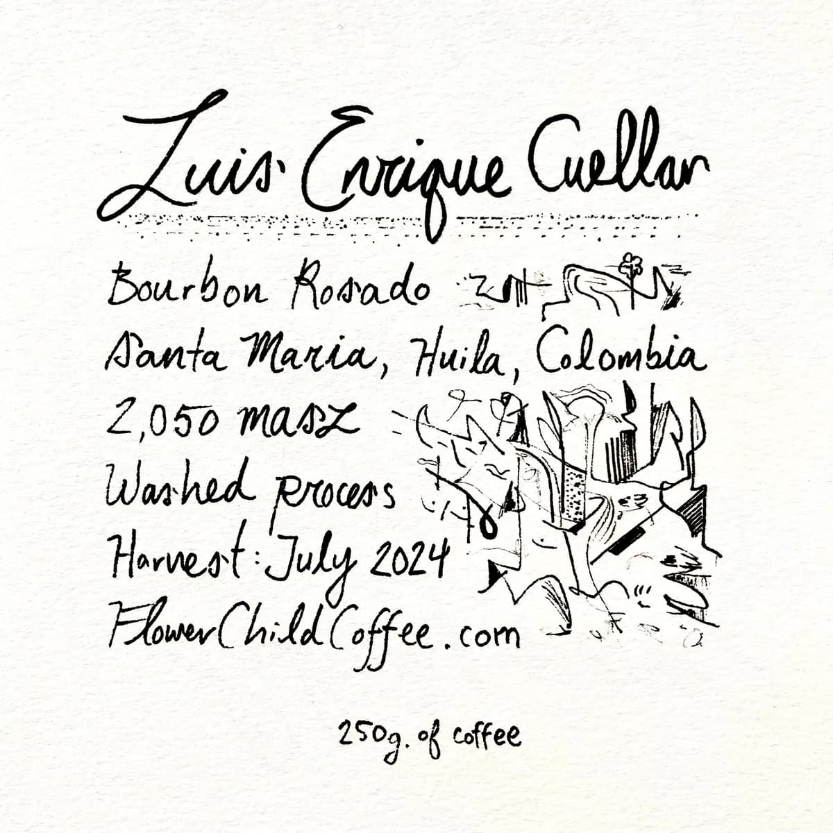 luis cuellar, colombia coffee from flower child