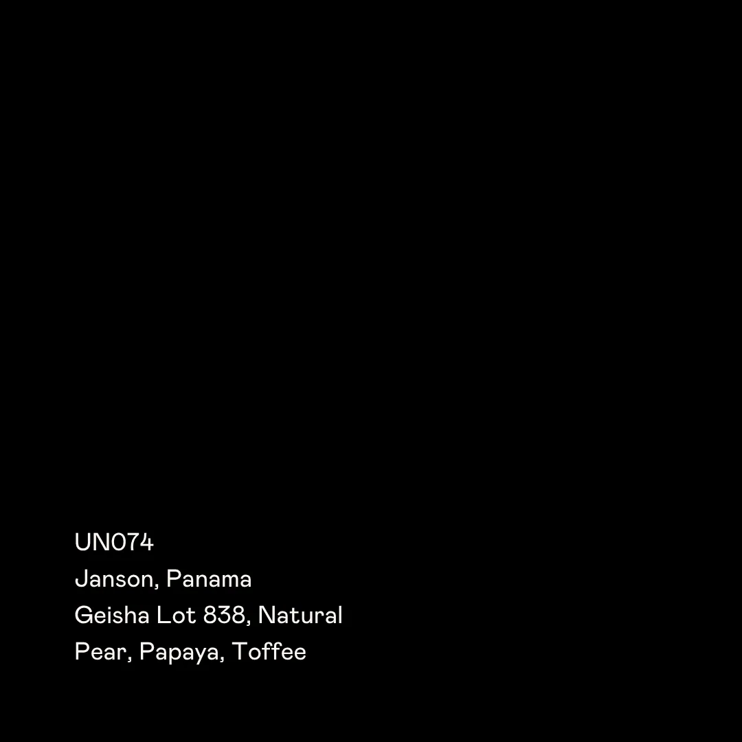 un074 - janson 838, geisha natural, panama coffee from special guests