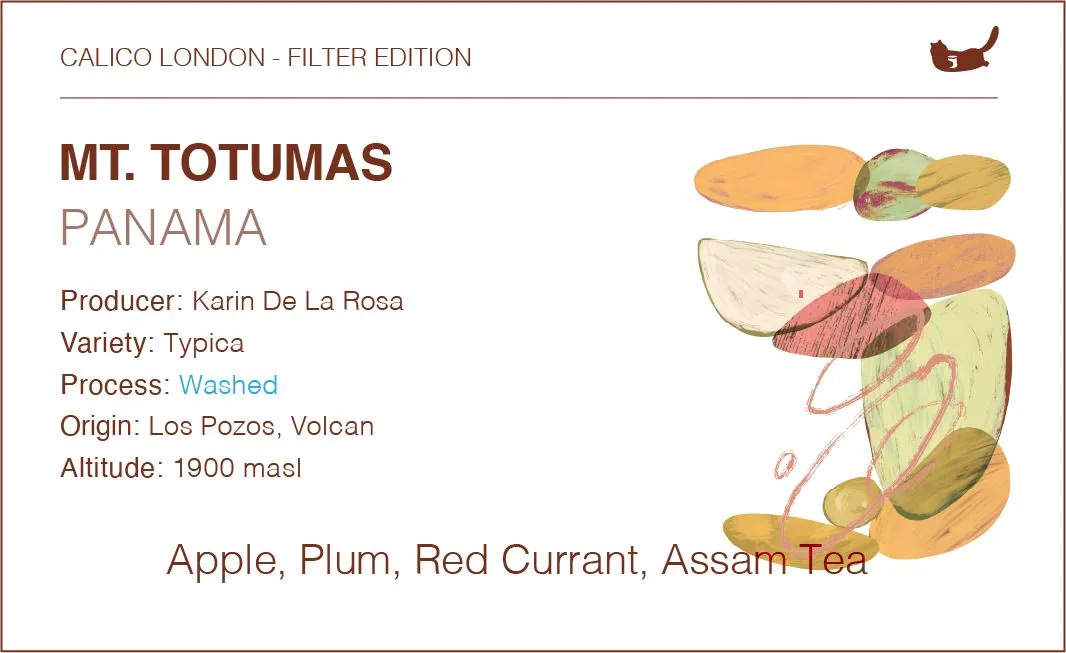 panama mt. totumas typica - washed, panama coffee from calico coffee