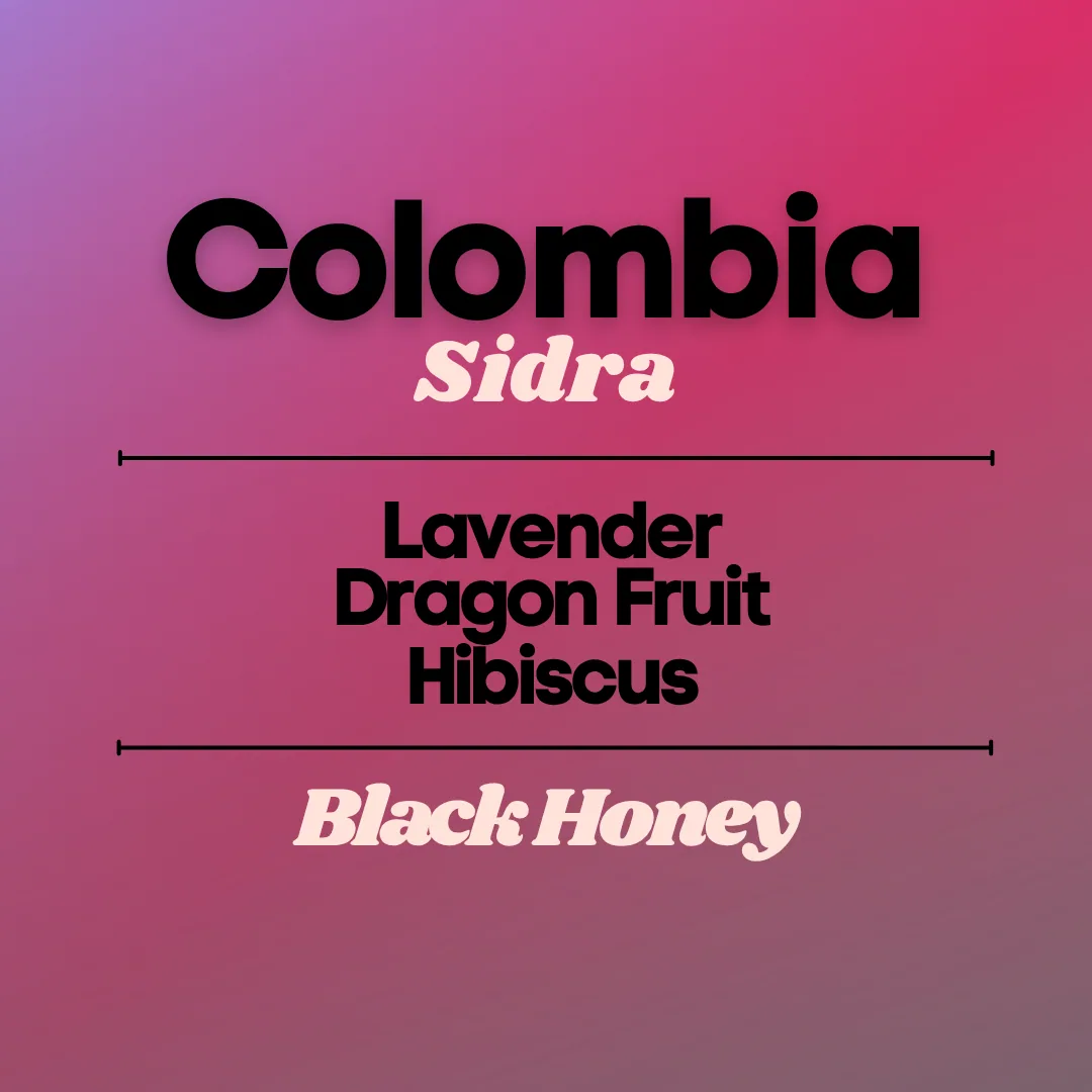 colombia sidra - black honey - 200 grams, colombia coffee from flux coffee