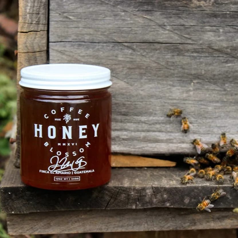 coffee blossom honey, guatemala coffee from kean coffee