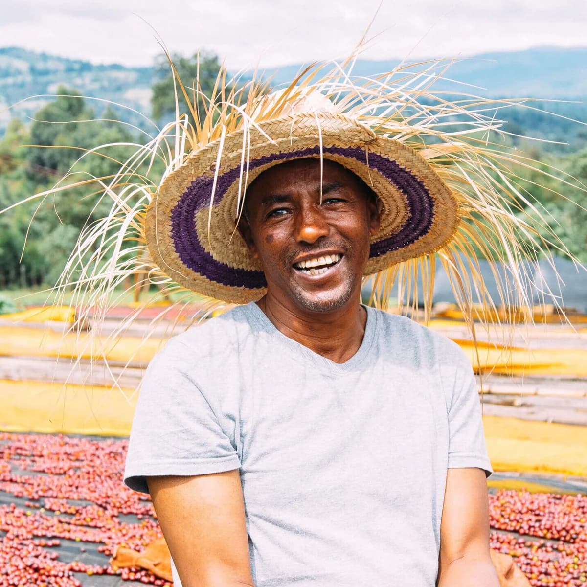 ethiopia suke quto natural swp decaf espresso, ethiopia coffee from passport specialty coffee