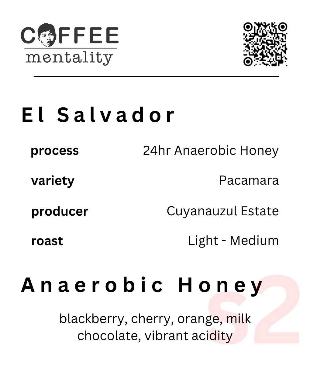 el salvador – 24hr anaerobic honey, el salvador coffee from coffee mentality roastery - woolloongabba