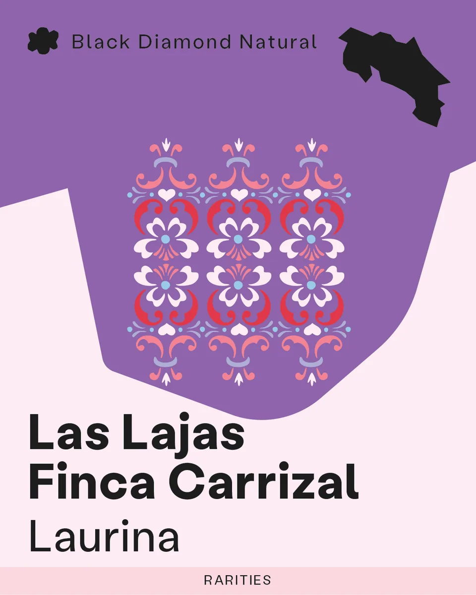 rarities: las lajas, finca carrizal - laurina, costa rica coffee from sk coffee: whittier