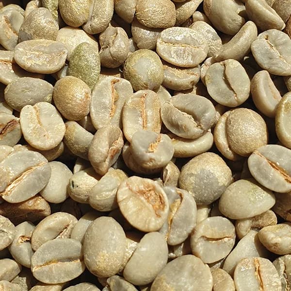 brazil inhame estate unroasted green coffee beans 1kg, brazil coffee from chiasso coffee roasters