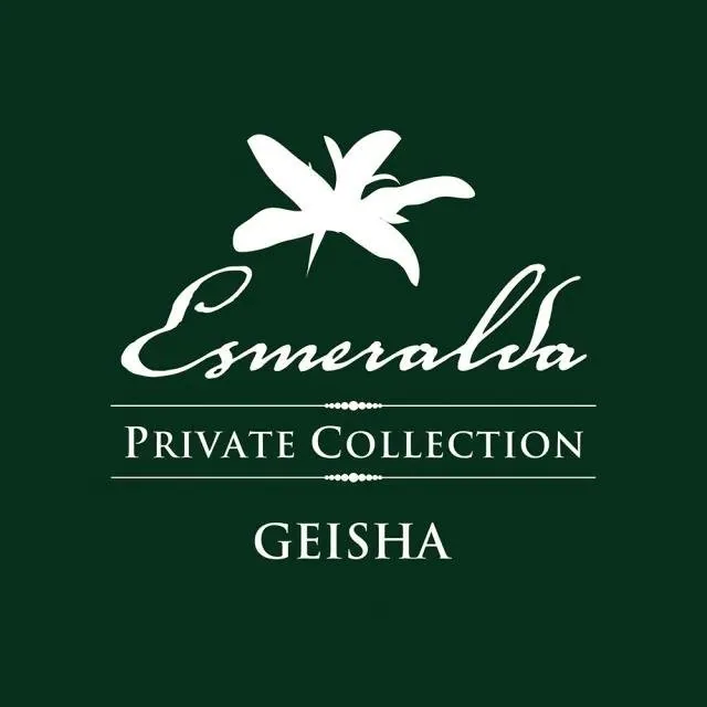 巴拿馬 翡翠莊園<br> 綠標 艾威羅地塊<br> el velo <br> 水洗處理法 <br>panama geisha<br> la esmeralda<br> washed process<br>淺烘焙 100克裝, panama coffee from rufous coffee roasters 2