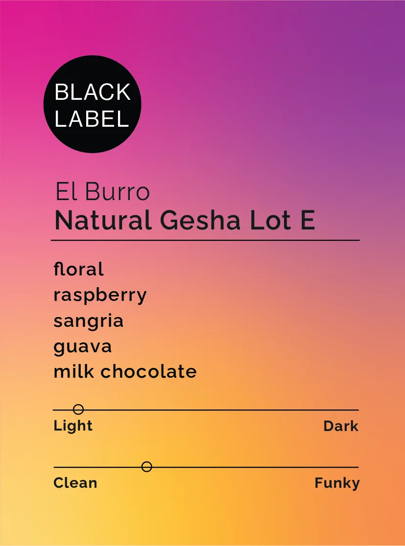 el burro - natural gesha lot e, panama coffee from black & white coffee roasters