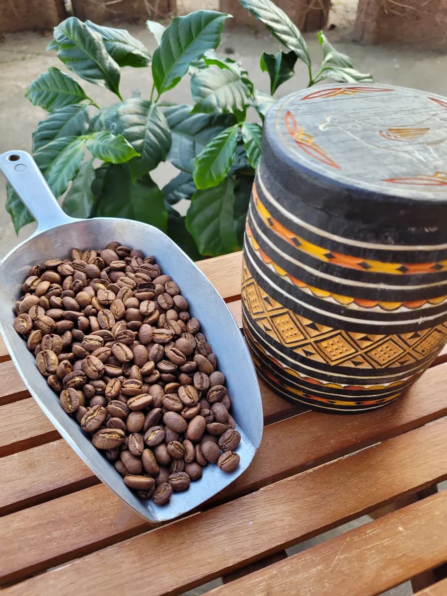 sulawesi kopi kalossi toraja, indonesia coffee from koffietied röstkaffee