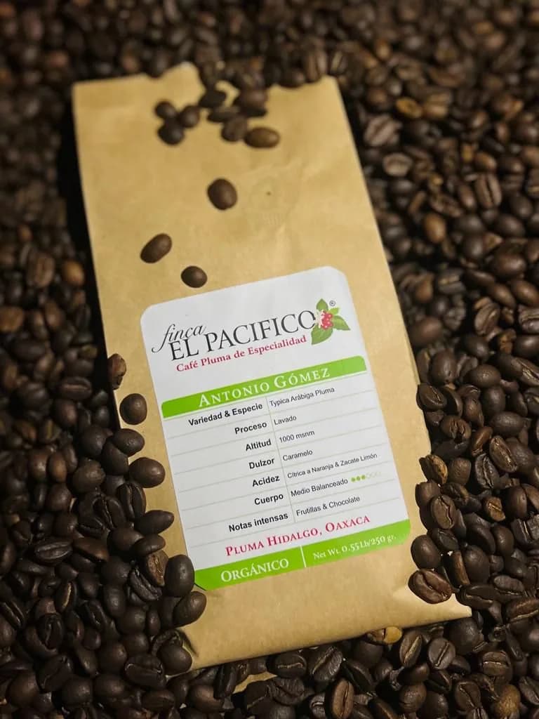 café “pluma” de especialidad en granos enteros bolsa de 250gr, mexico coffee from caffè cucinamatte ‘82