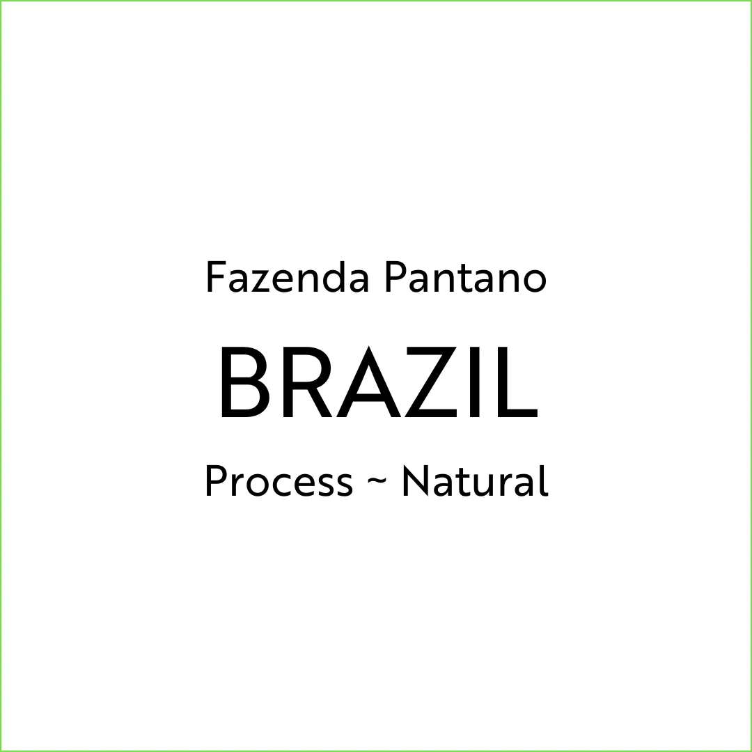 fazenda pantano, brazil coffee from corban coffee roasters