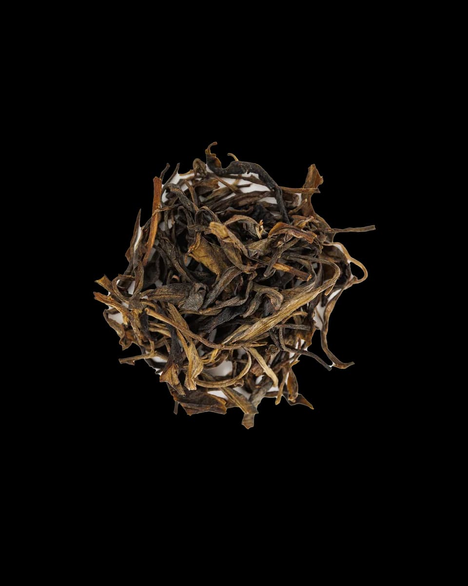 2016 wild forest raw pu'er - 2016, yunnan coffee from passenger / necessary coffee