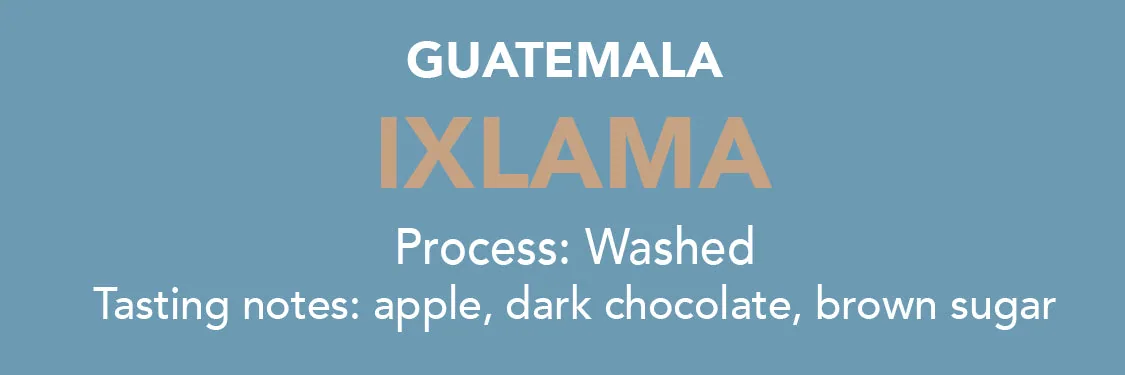 dose - guatemala ixlama, guatemala coffee from methodical coffee