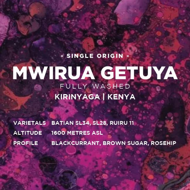 kenya: mwirua getuya, kenya coffee from muttley & jack's coffee roasters