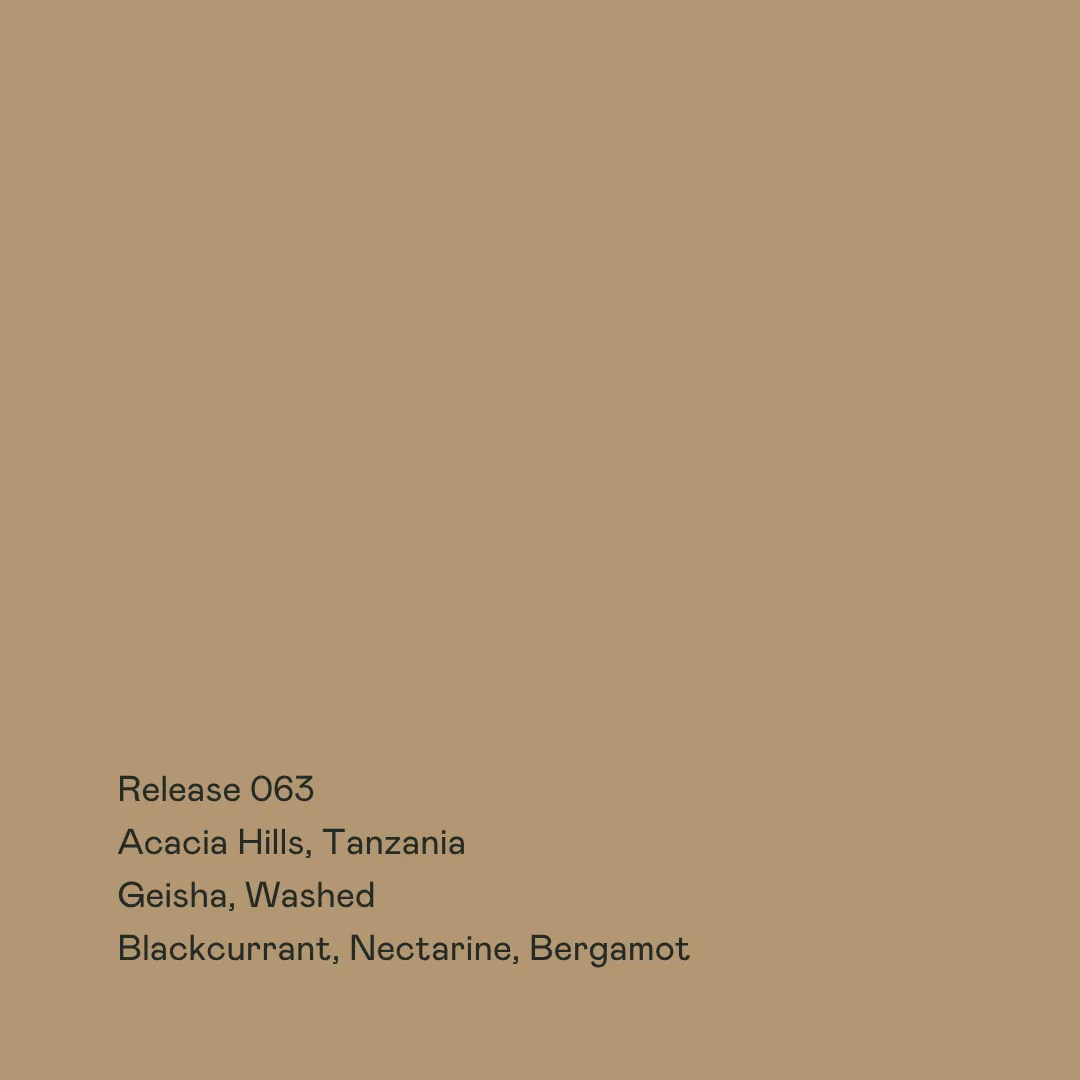 release 063 - acacia hills, gesha washed, tanzania coffee from special guests
