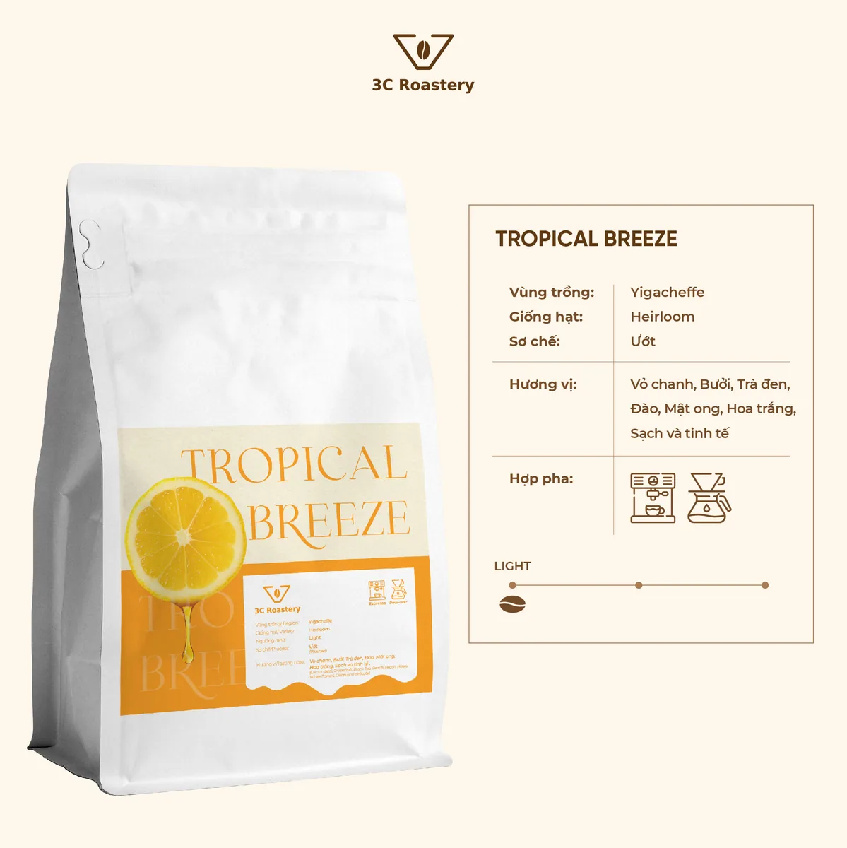 tropical breeze, ethiopia coffee from 3c roastery