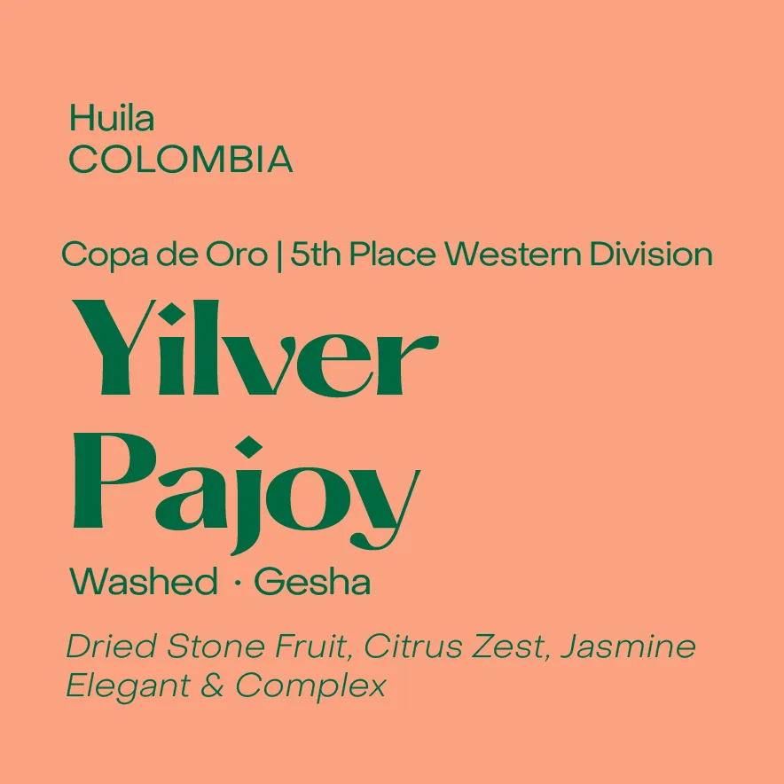 copa de oro | colombia yilver pajoy, washed gesha, colombia coffee from subtext coffee roasters