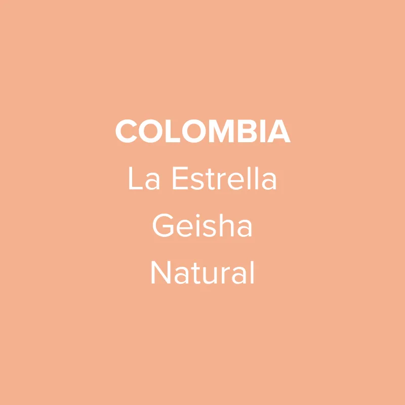 colombia la estrella geisha natural, colombia coffee from oma coffee roaster